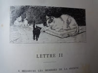 LETTRES D'UN CHIEN ERRANT SUR LA PROTECTION DES ANIMAUX