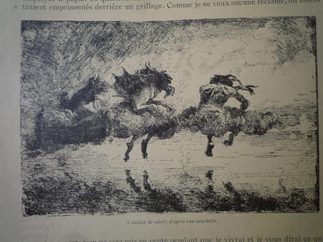 PAUL BOREL. F. THIOLLIER