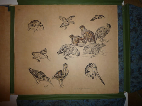 DEUTSCHE JAGD
chasse. VOIGT Otto Edouard