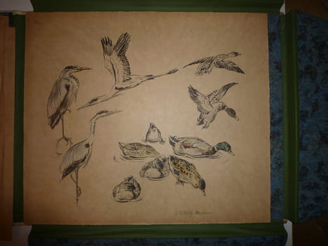 DEUTSCHE JAGD
chasse. VOIGT Otto Edouard