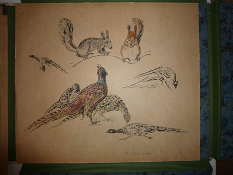 DEUTSCHE JAGD
chasse. VOIGT Otto Edouard