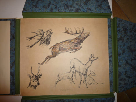 DEUTSCHE JAGD
chasse. VOIGT Otto Edouard