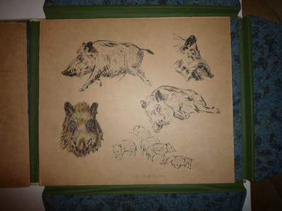 DEUTSCHE JAGD
chasse