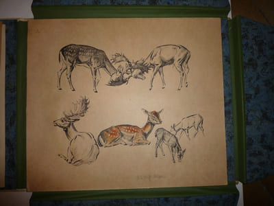 DEUTSCHE JAGD
chasse