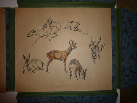 DEUTSCHE JAGD
chasse. VOIGT Otto Edouard