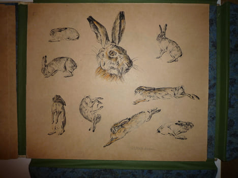 DEUTSCHE JAGD
chasse. VOIGT Otto Edouard