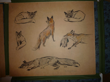 DEUTSCHE JAGD
chasse. VOIGT Otto Edouard