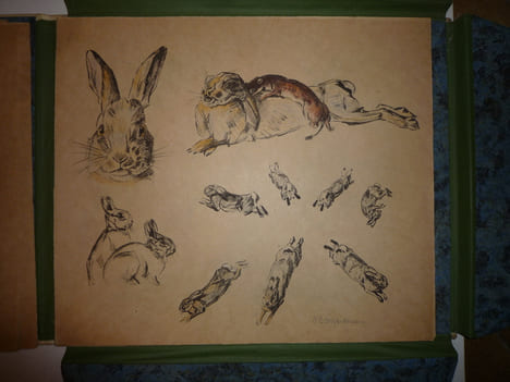 DEUTSCHE JAGD
chasse. VOIGT Otto Edouard