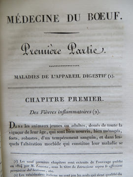 MEDECINE DU BOEUF
Traité des maladies des bêtes bovines . RODEN