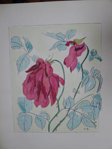 LES ROSES AQUARELLES ET DESSINS 