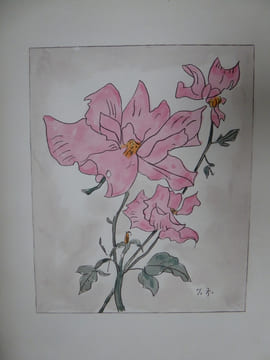 LES ROSES AQUARELLES ET DESSINS . ZOUBALOFF JACQUES