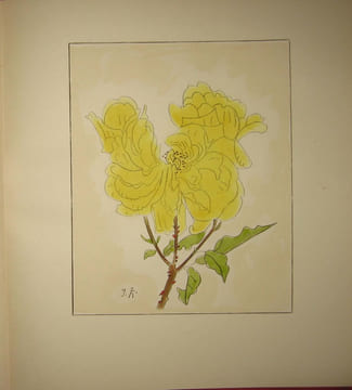 LES ROSES AQUARELLES ET DESSINS . ZOUBALOFF JACQUES