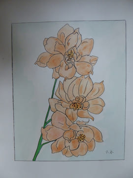 LES ROSES AQUARELLES ET DESSINS . ZOUBALOFF JACQUES
