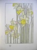 DECORATIVE PLANT & FLOWER STUDIES 
For the Use of Artits Designers Students & Others
. FOORD J.