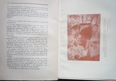 La terre va-t-elle mourir. RAOUL TOSCAN