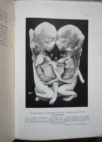 La science des monstres