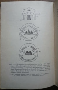 La science des monstres