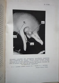 La science des monstres