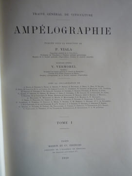 Traité général de viticulture
Ampélographie
. VIALA Pierre et VERMOREL Victor