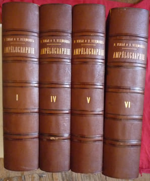 Traité général de viticulture
Ampélographie
. VIALA Pierre et VERMOREL Victor