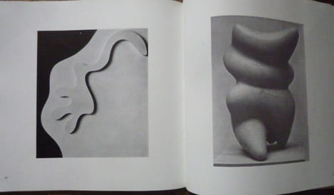 Mission spirituelle de l'art
à propos de l’œuvre de Sophie Taeuber-Arp et de Jean Arp. Michel SEUPHOR