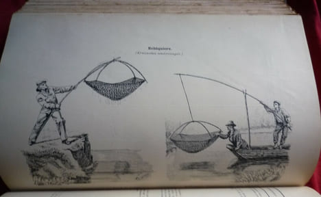 Notes sur les forêts, la chasse et la pêche en Belgique
Exposition internationale Bruxelles- Tervueren
. collectif