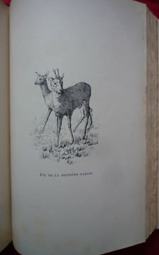 Notes sur les forêts, la chasse et la pêche en Belgique
Exposition internationale Bruxelles- Tervueren
. collectif