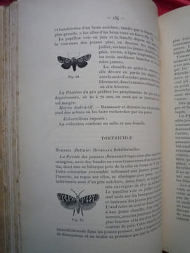Notes sur les forêts, la chasse et la pêche en Belgique
Exposition internationale Bruxelles- Tervueren
. collectif