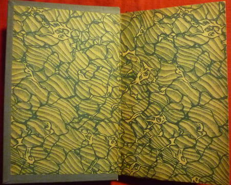 L'expédition des Dardanelles. TESTIS