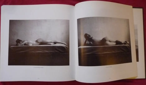 Hommage à la peinture. David Hamilton
