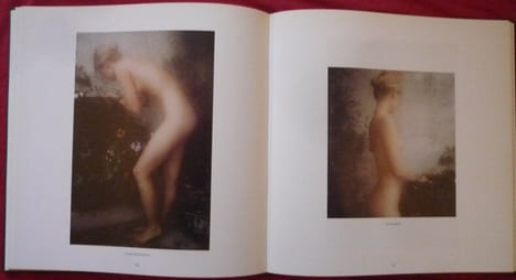 Hommage à la peinture. David Hamilton