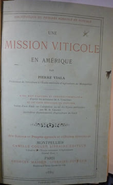 Une mission viticole en Amérique. Pierre VIALA