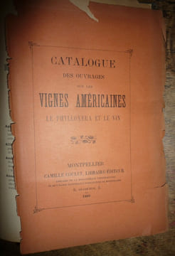 Une mission viticole en Amérique. Pierre VIALA
