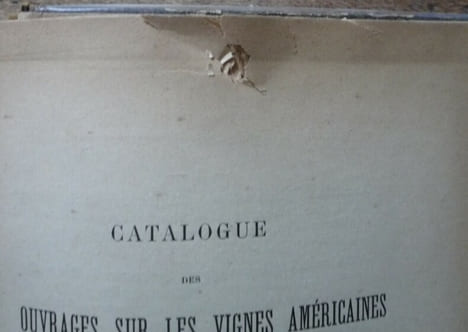 Une mission viticole en Amérique. Pierre VIALA
