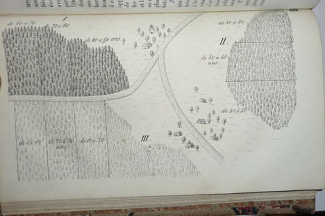 Le guide des forêts. Charles KASTHOFER