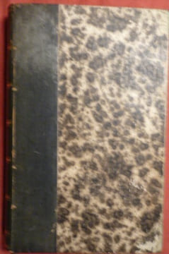 Les glaciers. William Hüber