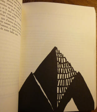 L'usage du monde. Nicolas BOUVIER
Thierry VERNET