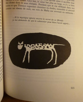 L'usage du monde. Nicolas BOUVIER
Thierry VERNET