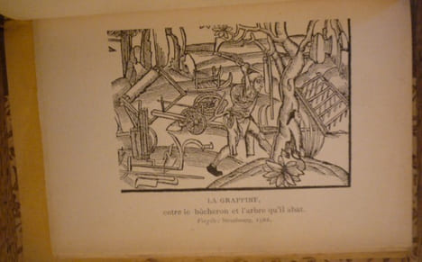 ANTHOLOGIE AGRICOLE
La terre
La forêt
La vigne. Marius Audin