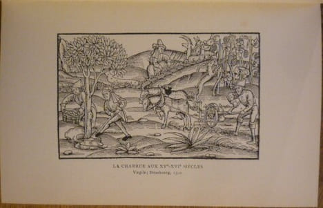 ANTHOLOGIE AGRICOLE
La terre
La forêt
La vigne. Marius Audin