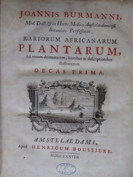 Rariorum Africanarum Plantarum
. BURMANN Johannes