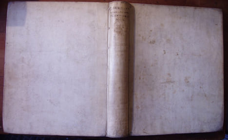 Rariorum Africanarum Plantarum
. BURMANN Johannes