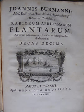 Rariorum Africanarum Plantarum
. BURMANN Johannes