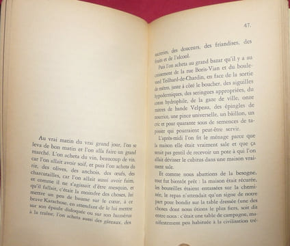 Quel petit vélo à guidon chromé au fond de la cour. Georges PEREC