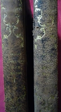 Promenade autour du monde. J.ARAGO