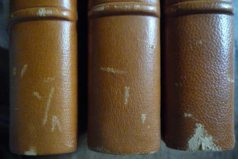 Les papiers posthumes du Pickwick-club. Charles DICKENS