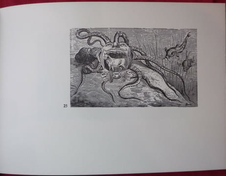 Géomancie du regard. MAX BUCAILLE