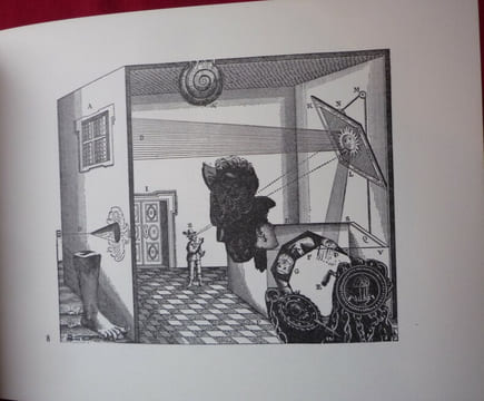 Géomancie du regard. MAX BUCAILLE