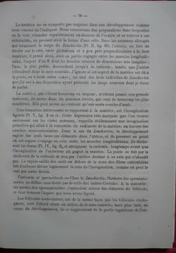 Thèses présentées à la faculté des sciences de Paris pour obtenir le grade de docteur ès-sciences naturelles. R. MONIEZ