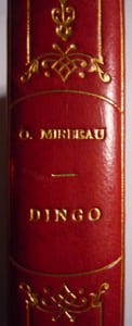 DINGO